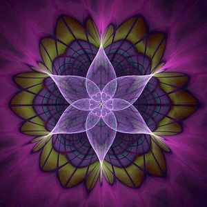 Meet your Posher, Sheila